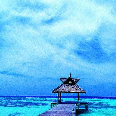 kaiyun下载-登录入口